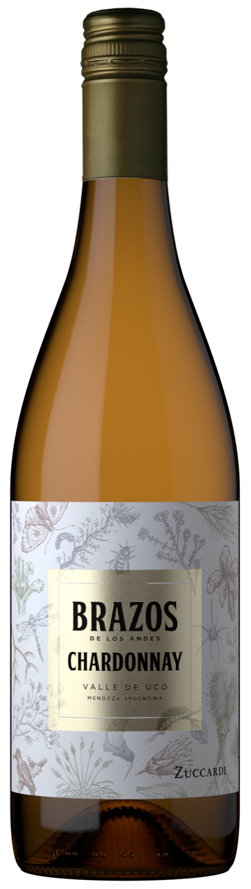 ZUCCARDI BRAZOS CHARDONNA 75X6